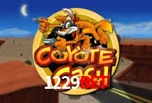 Crash Games Strategies 1229bet